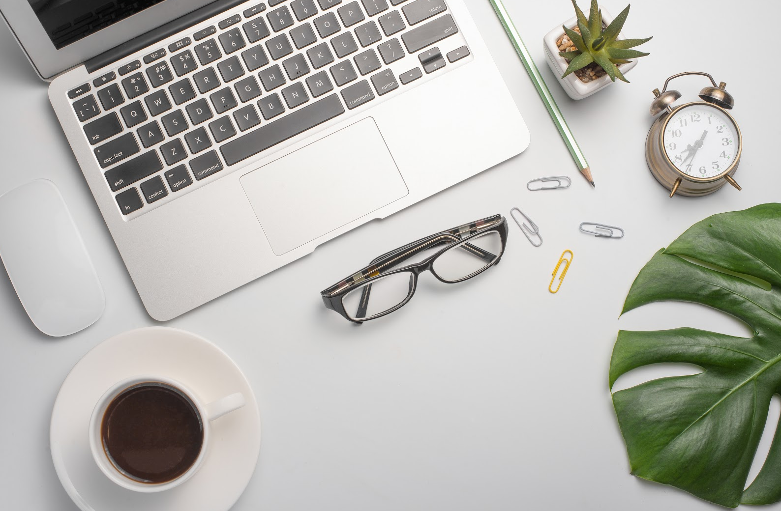 Tips to Boost Your Search Rankings and Traffic